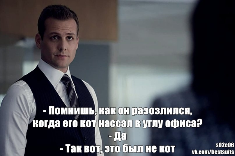 Цитаты для мажоров Цитаты для мажоров