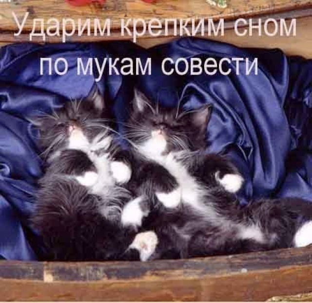 http://s4.hostingkartinok.com/uploads/images/2012/11/31f5277594bad996dcdee44fa045a6fe.jpg