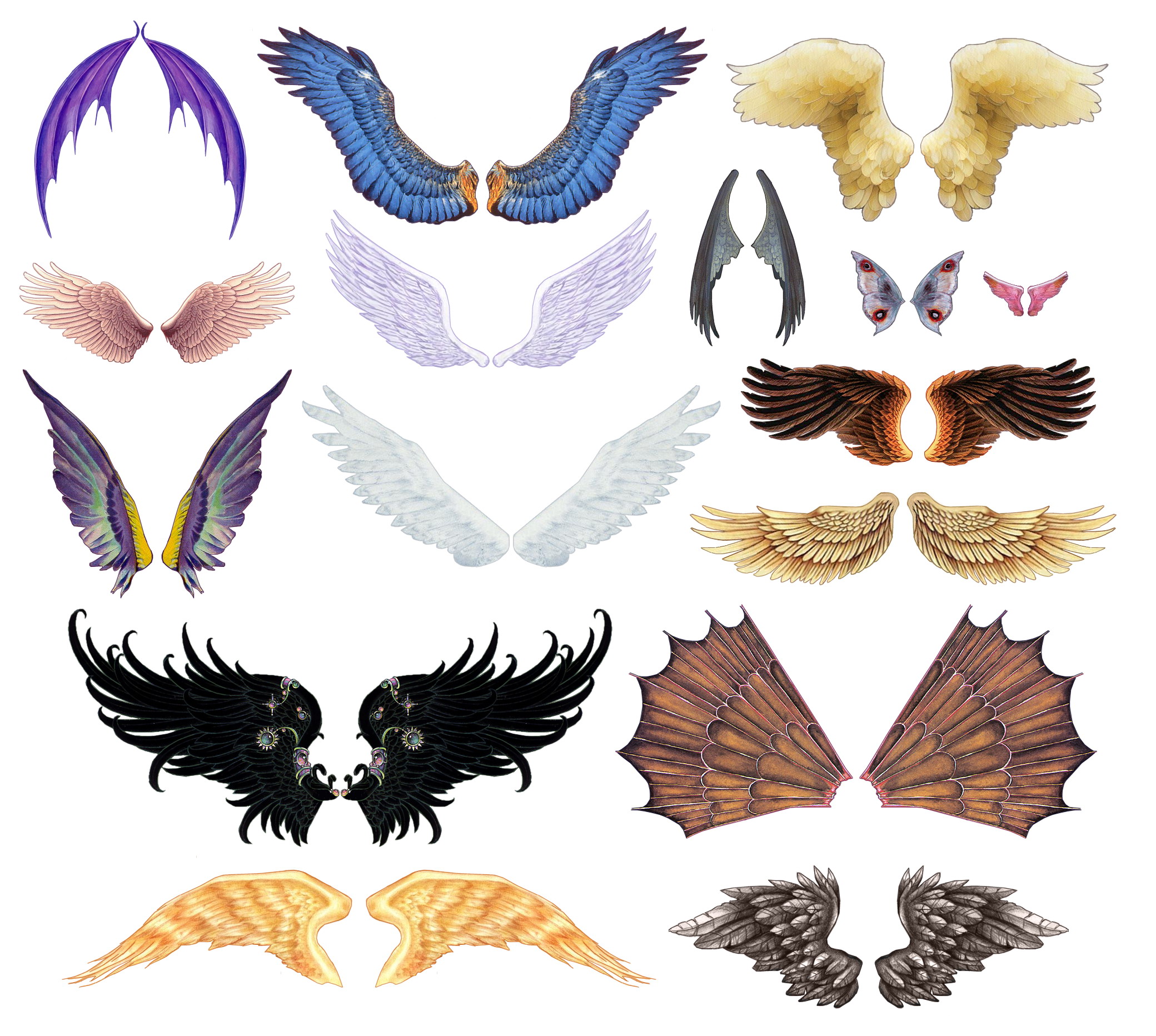Разновидности крыльев