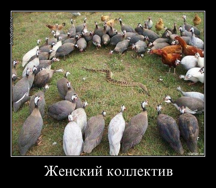 Смешные Картинки Про Коллектив На Работе
