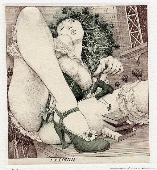 alfons-v-sekse alfons-v-sekse
