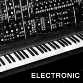 Electronic Electronic