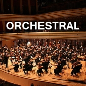 Orchestral Orchestral