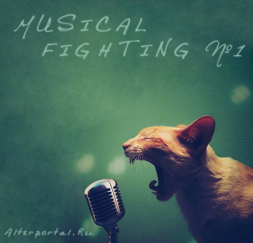Musical Fighting № 1 - 2013