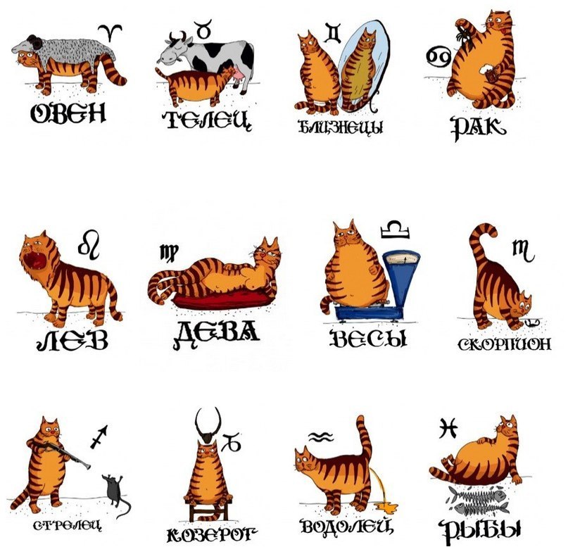 Гороскоп Кота Козерога