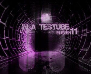 In a Testube - Eleven11 (2006)
