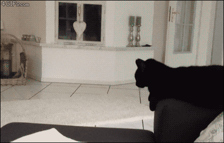 80f179bb4d838753317d9382ce4b05ad.gif