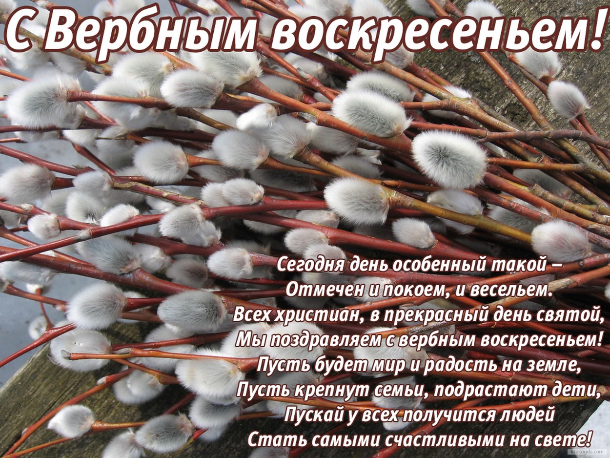 Поздравления на Вербное воскресенье в стихах Поздравления на Вербное воскресенье в стихах