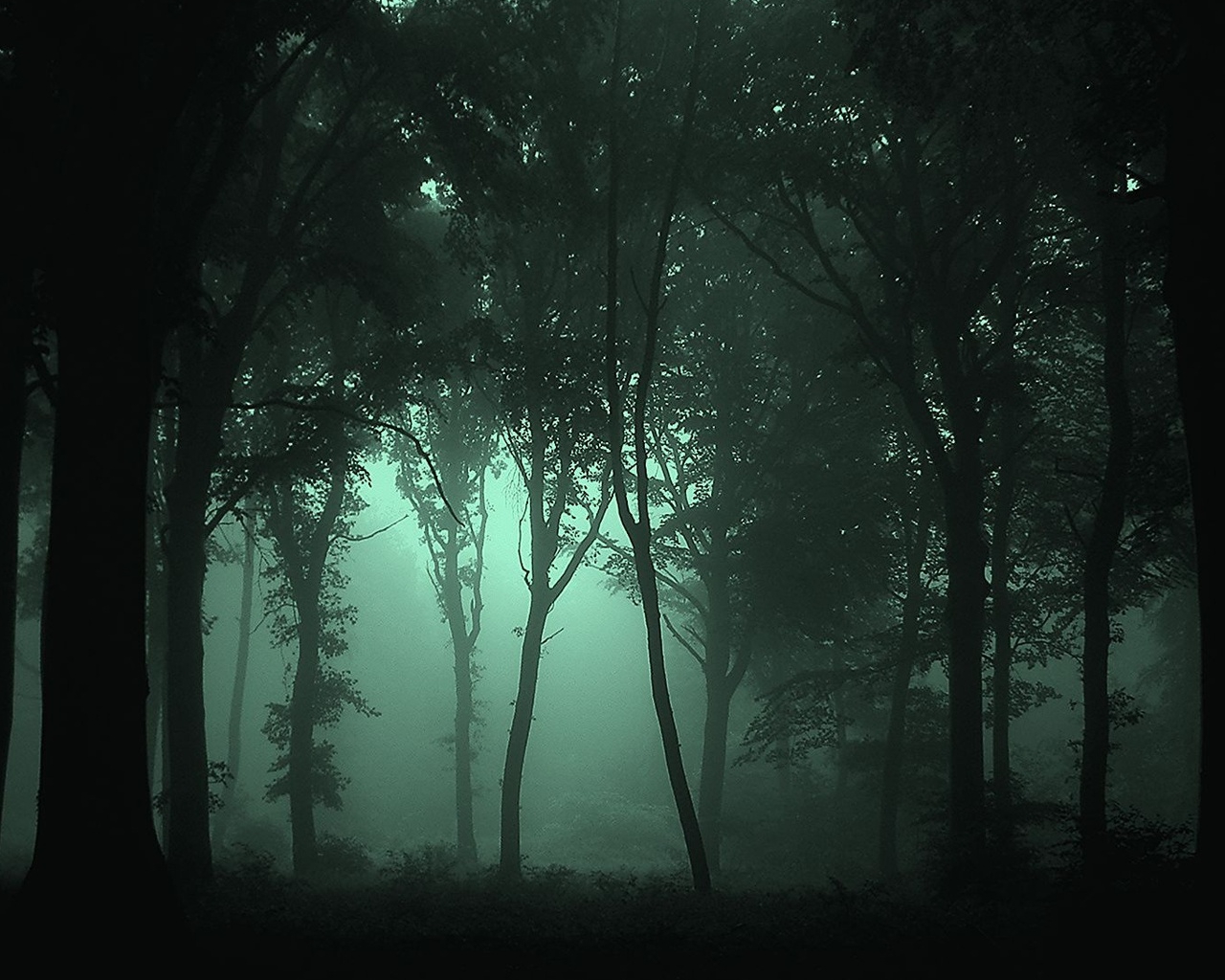 Dark forest стим фото 116