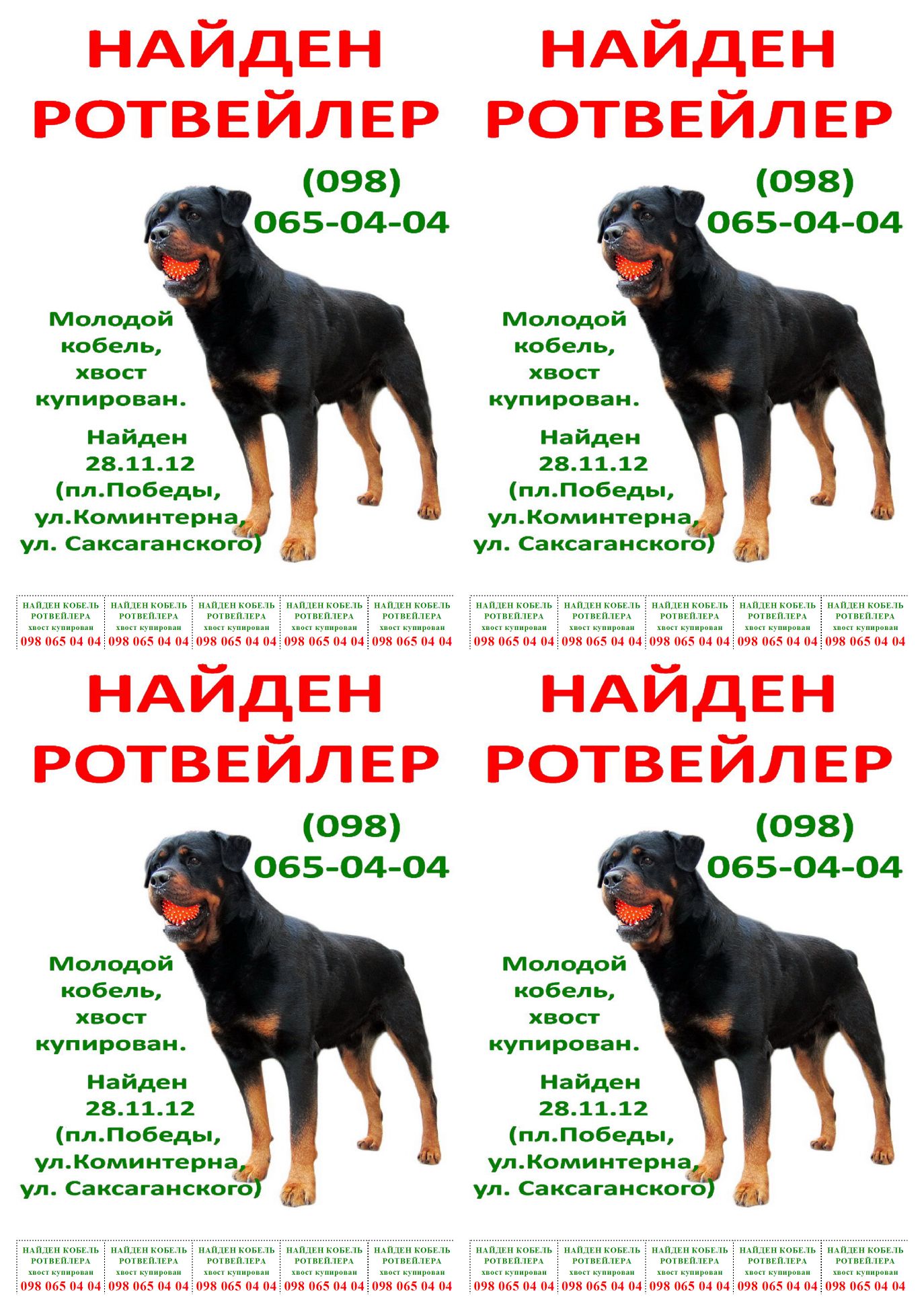 Вес ротвейлера по возрасту таблица Объявление_Ротвик Джеф_4в1.jpg - Просмотр картинки - Хостинг картинок, изображен