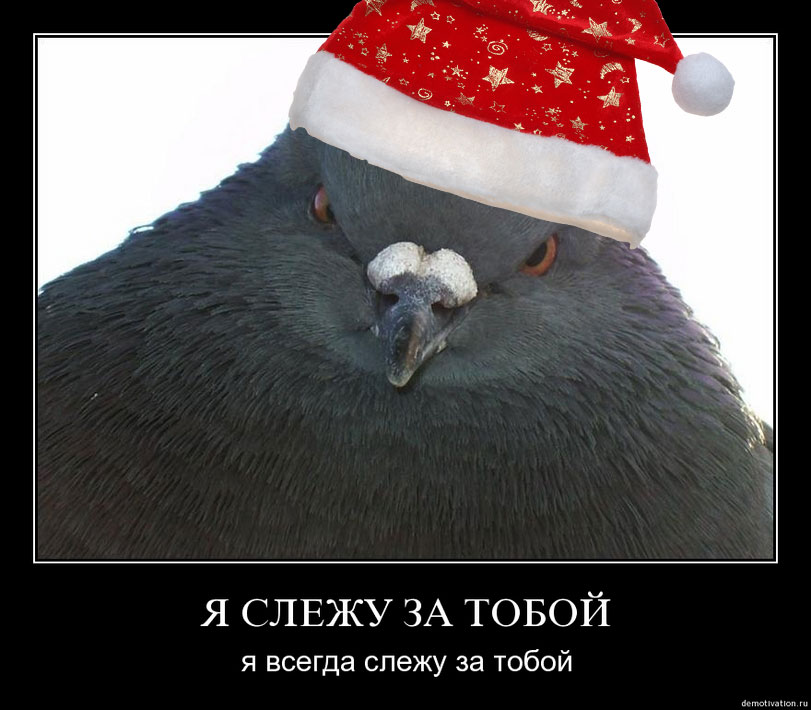 Я слежу за тобой смешные картинки