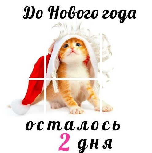 Сколько осталось дней до 23 декабря 2024. До нового года осталось 22 дня. Сколько дней осталось до. Три дня до нового года. До нового года 11 дней.