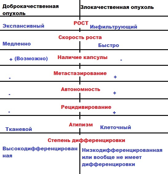 Доброкачественные опухоли блок схема