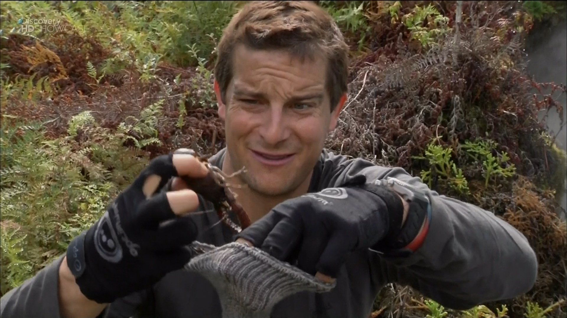 Выживание в лесу Bear Grylls