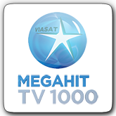 Канал мегахит. Tv1000 MEGAHIT. ТВ 1000. ТВ 1000 логотип. Телеканал tv1000 MEGAHIT логотип.
