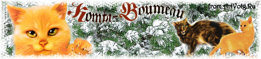 коты воители огнезвёзд. коты воители пророчество трех. коты воители остролистая и огнезвезд. коты-воители эрин хантер книга коты-воители. закладки коты воители.