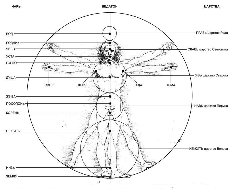 Что означает явь. Славянская энергетическая система 9 чакр. Чакры человека Славянская система. Чакры у славян. Древнее изображение чакр.