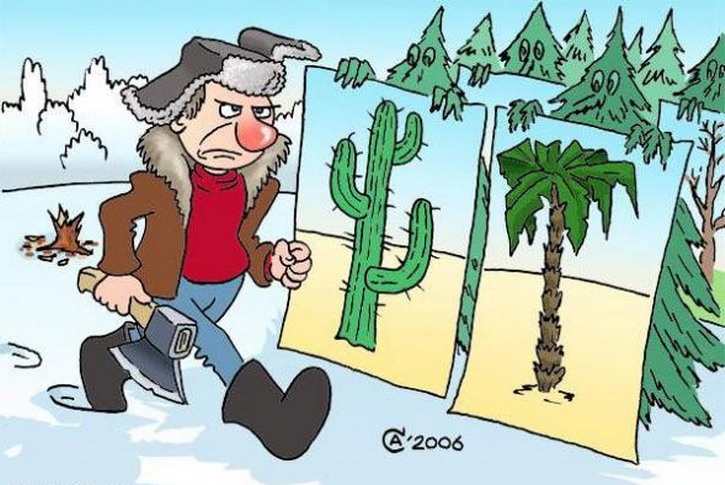 Руби парень. Карикатуры новогодние смешные. Лес карикатура. Карикатура зима. Карикатура зимой в лесу.